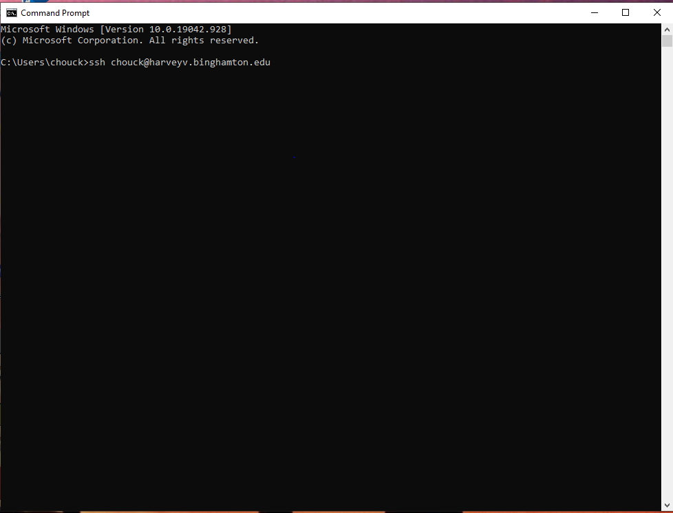 An image of a terminal windows opened on Windows 10